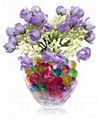 Aqua Beads  For Your Plants  1