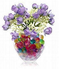 Aqua Beads  For Your Plants 