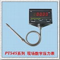 Melt pressure gauges 1