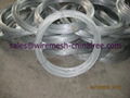 galvanized iron wire 1