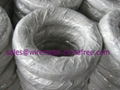 galvanized iron wire