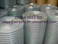 welded wire mesh 1