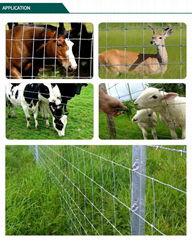 Cattle Fence