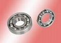 Deep groove ball bearings 5