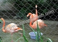 zoo bird netting 1