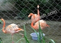 zoo bird netting