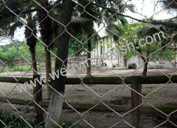 zoo aviary mesh
