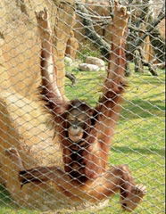 zoo rope mesh