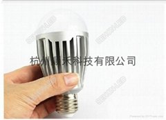 10W LED bulb