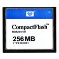 256MB Compact Flash Card 256mb
