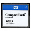 COMPACT FLASH CARD 4GB CompactFlash Card