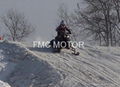 250 Snowmobile