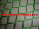 #420KNOTLESS NYLON SPORTS NETTING 1