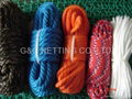 MFP  DIAMOND BRAID  SASH CORD 1