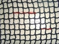 NYLON RASCHEL  KNTOLESS NETTING  4