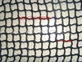 NYLON RASCHEL  KNTOLESS NETTING  4