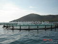 AQUACULTURE CAGE PEN NET AND NETTING 3