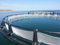 FISH  FARM CAGE  NET AND NETTING 