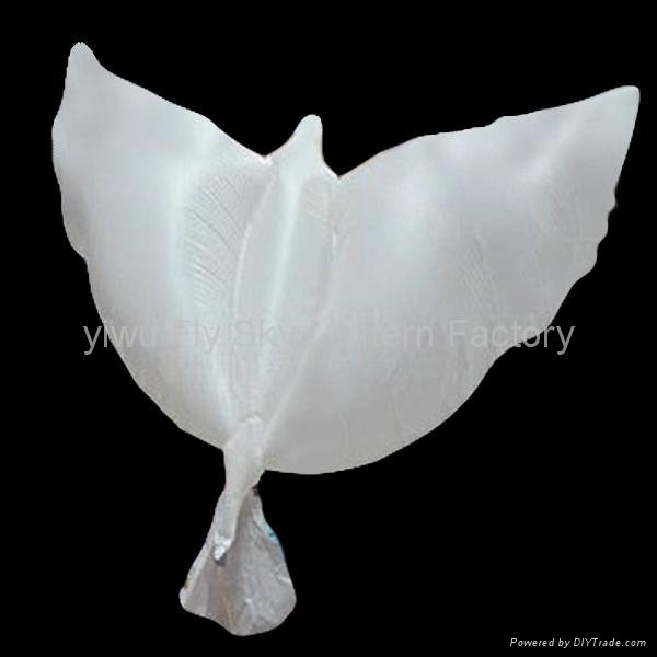 2019 Hot sale 100% biodegradable white Dove Balloons for wedding decoration 3