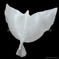 2019 Hot sale 100% biodegradable white Dove Balloons for wedding decoration 3