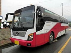 daewoo bus,kia,hyundai bus,korean buses