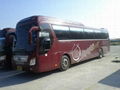 daewoo bus,kia,hyundai bus,korean buses 5
