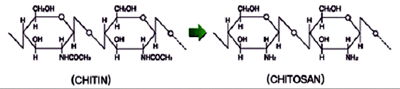 Chitosan Oligosaccharin