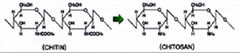 Chitosan Oligosaccharin