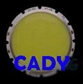 6W COB LED Chips