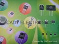 Diode,audion,transistor,Mosfet,Schottky,IGBT.