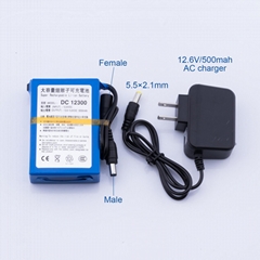  Super Polymer Rechargeable 3000mAh li-ion Battery Large Capacity DC12V