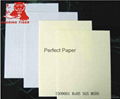 Cream paper/cream color paper/cream bristol board 1
