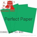 Wood pulp Color paper board/Color paperboard/colour paperboard/colour paper 