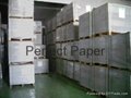 Factory price Duplex board grey back/duplex board white back//Triplex board