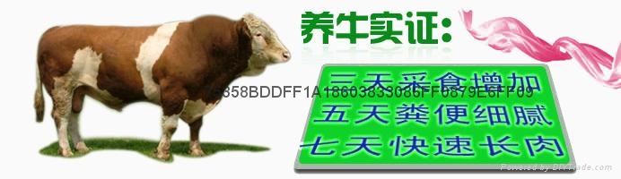 激生肽長肉王肉牛催肥劑肉羊催肥藥增重肥育快 3