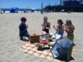 Portable Solar Oven for camping/Solar Oven