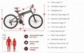 Electric bicycle/electric bike/Ebike LO26-II-FT 21 Speed Folding  750W motor 6