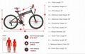 Electric bicycle/electric bike/Ebike LO26-II-FT 21 Speed Folding  750W motor