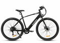 Electric Bike XWP10 350W City Electric