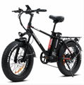 Electric Bike  XWC05 750W Pro Fat Tire