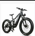 Electric bicycle RS-A08 750W Hydraulic