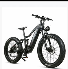 Electric bicycle RS-A08 750W Hydraulic Brake  Mountain Electric Bike