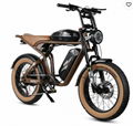 Electric bicycle M20-II 1200W 32Ah