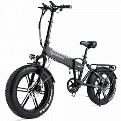 XWXL09 750W Fat Tire Folding Electric Bike/Electric Bicycle 750W Motor