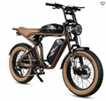 M20-II 1200W 32Ah Battery Electric bicycle/electric bike