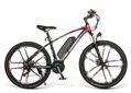 Electric bike SM26 21 Speed Alloy Wheel