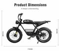 M20-III 2000W Electric Bicycle