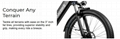 Electric bicycle RS-A01 120KM range cargo electric bike 7