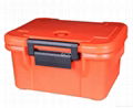 Insulated food carrier