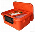Insulated food carrier